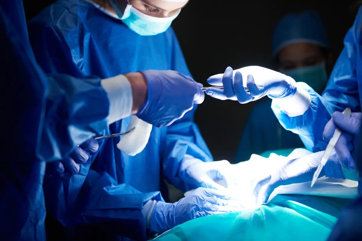 Transplantasi Sumsum Tulang: Prosedur, Efek, dan Biaya